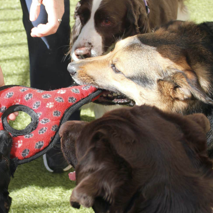 Conejo Valley Veterinary Hospital Thousand Oaks, CA